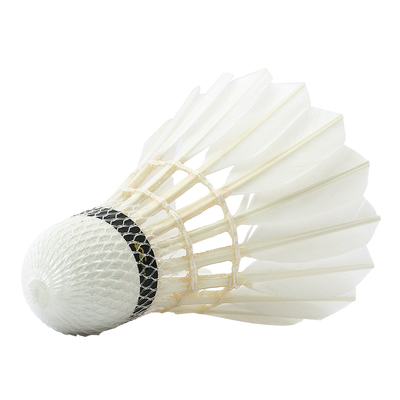 ACC羽毛球比赛3号-出口日本