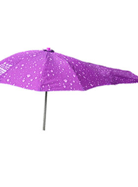 加长电动车雨伞雨棚怀云遮阳棚