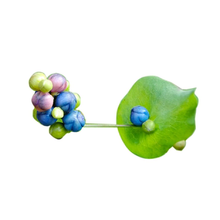 谷隐生态野生杠板归草新鲜采摘干货蛇倒退草药带状腰蛇泡皮肤止痒