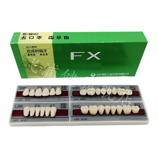 牙科山八合成牙 塑钢牙合成树脂牙 日本山八全口义齿塑钢树脂假牙