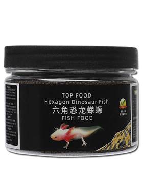 鱼食六角恐龙东方蝾螈下沉