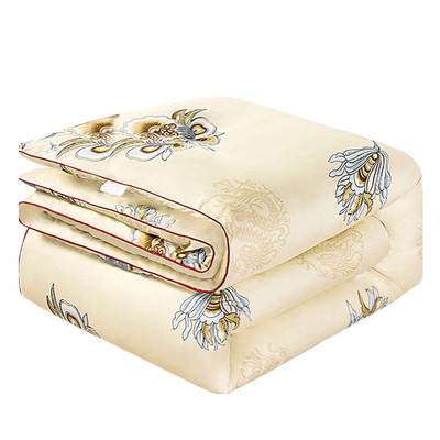 加厚保暖蚕丝被冬款冬季丝棉被芯