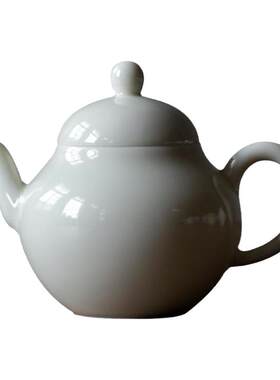 观岚家用手工泡茶壶小号陶瓷