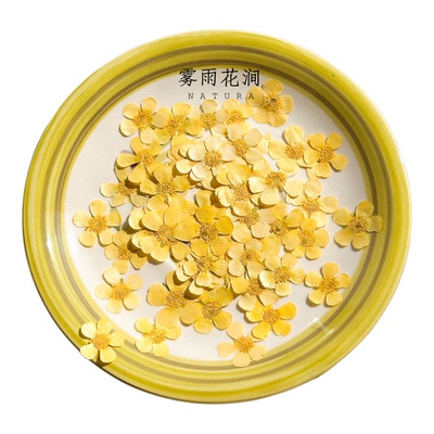 ins黄色毛茛花押花标本油画质感