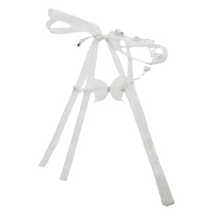 超仙蝴蝶珍珠项链女轻奢小众高级感锁骨链2026新款气质百搭脖颈链