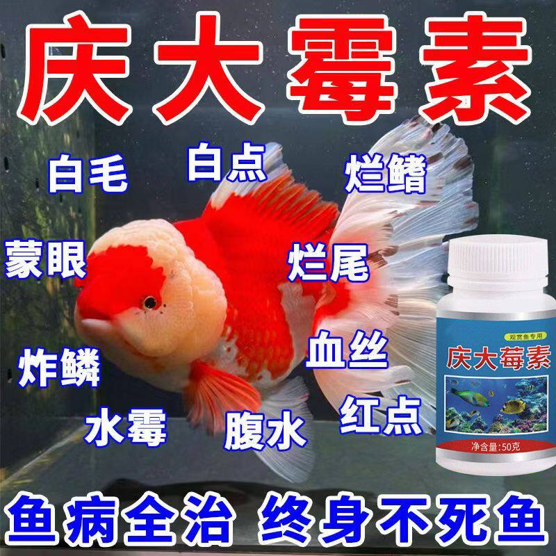 庆大霉素鱼病专用药烂身烂尾白点白毛掉磷蒙眼杀菌消炎康复消毒药