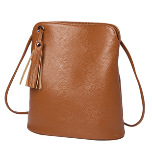 真皮女包手机包2025新款时尚休闲斜挎包女士流苏迷你单肩小水桶包
