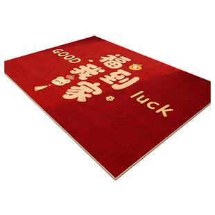 红色喜庆进门地垫入户门前脚垫防滑耐脏蛇年地毯家用楼道走廊地毯