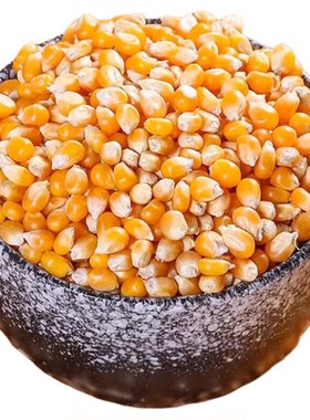 爆米花专用球形玉米粒5斤电影院