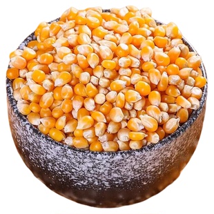 爆米花专用球形玉米粒5斤电影院家用自做爆裂小玉米粒原料干苞米