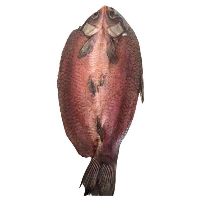 湖北特产水库风干大螺蛳青鱼干