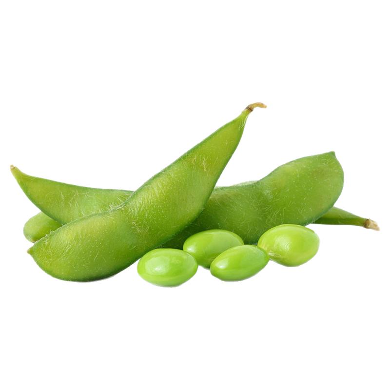 早熟高产大粒毛豆种子春秋季播