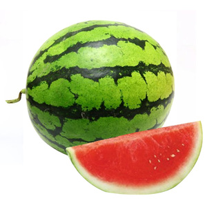 懒汉西瓜种籽特大高产西瓜种子8424麒麟西瓜苗四季南方水果蔬菜孑