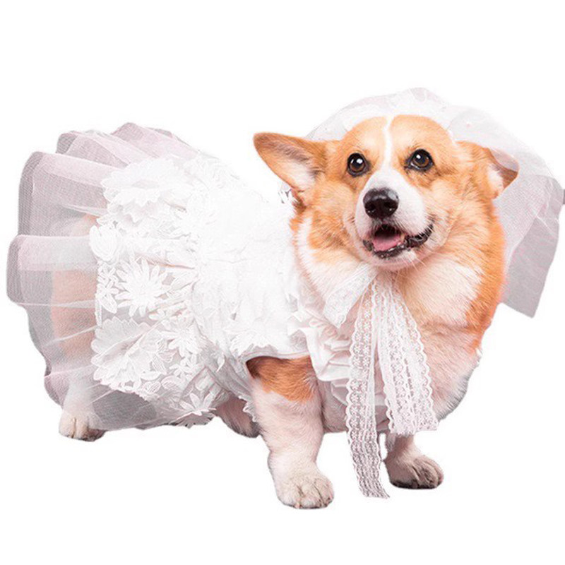 宠物狗狗婚纱裙子礼服结婚拍照写真衣服狗狗可爱蓬蓬裙花边公主裙