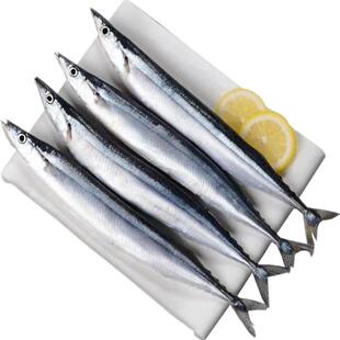 秋刀鱼新鲜冷冻商用整箱特大号烧烤料理海鲜水产鲜活深海鱼4斤装