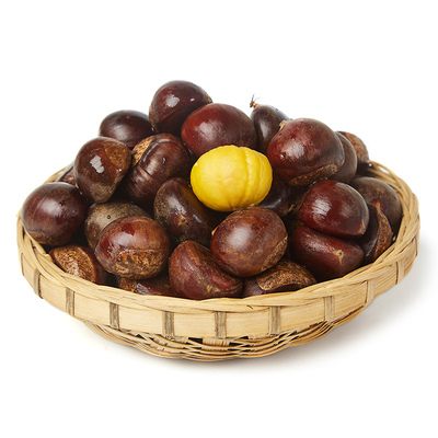2025新鲜丹东板栗5斤鲜栗子生嫩大板粟板栗野生板票 新油锥栗10子