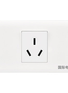 国际电工118型大功率16A三孔插座
