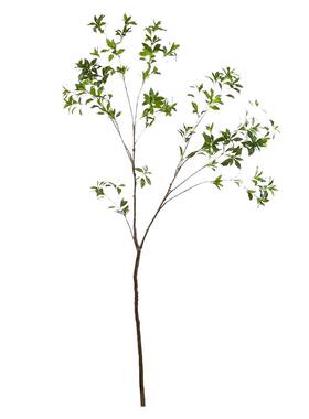 马醉木仿真绿植高端轻奢