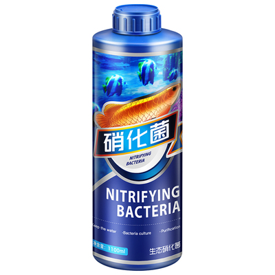 【真的硝化活菌】3小时抢救水质