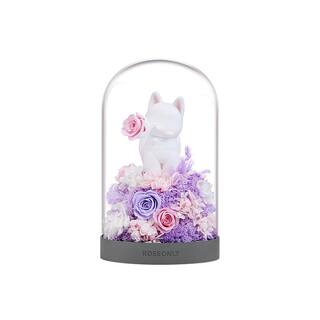 【七夕礼物】ROSEONLY诺誓玫瑰甜心兔永生花送女友情人节生日摆件