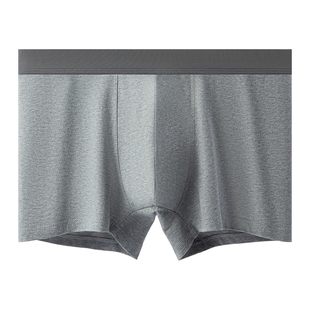 都市丽人纯棉男士内裤男款四角裤高端商务新疆棉抗菌透气2024新款