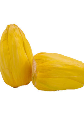 莲来莲花茶高端独立包装