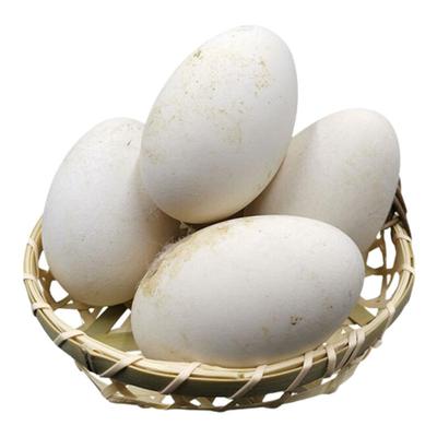 奶奶家山里鹅蛋新鲜营养现捡现发