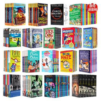 英文原版书籍章节书桥梁书