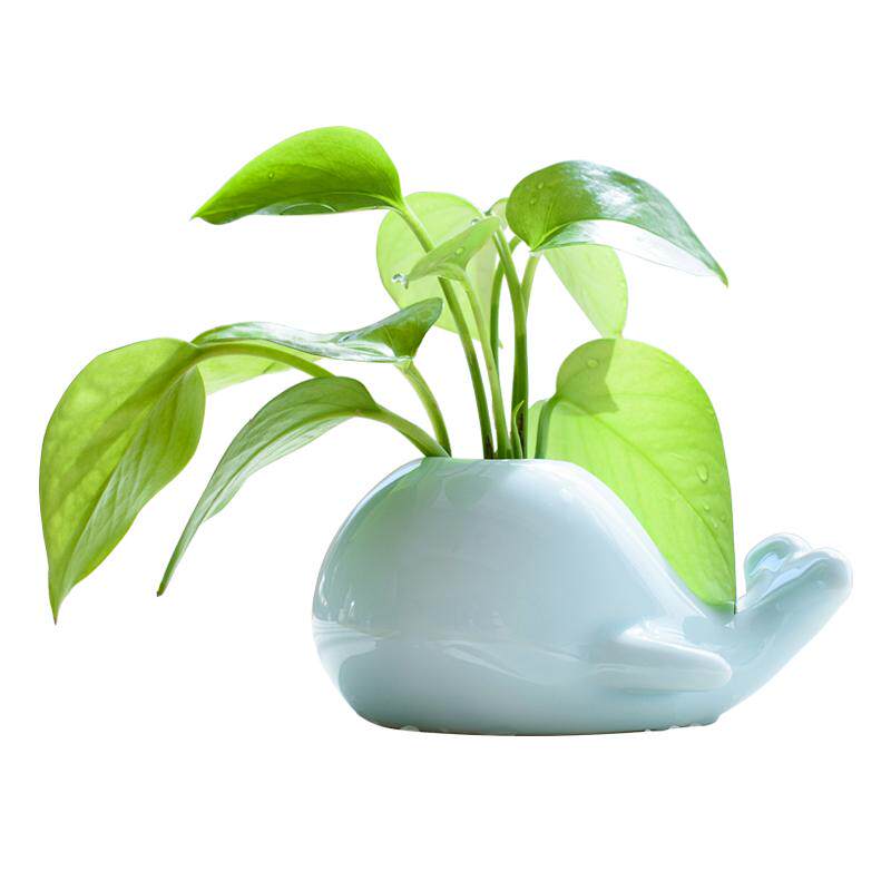 大象小花瓶陶瓷茶道时尚个性鲸鱼