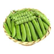云南新鲜豌豆荚带壳青豆角粒农家蔬菜水果甜豆荚嫩当季现摘现发
