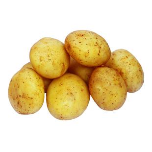 【顺丰包邮】现挖现发5斤新鲜小土豆黄心土豆沙田马铃薯洋芋