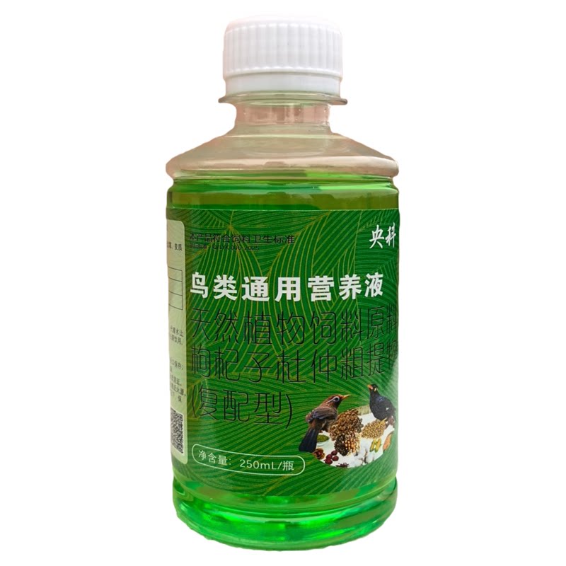 提性肥膘画眉鸟食央科