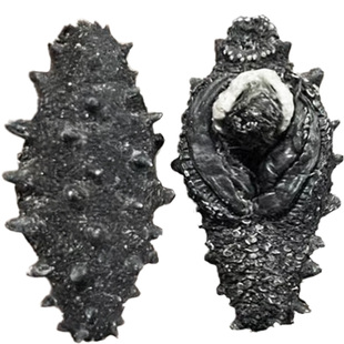 深海纯野生纯淡干海参特级一级国标大白刺长岛辽参干货孕妇滋补