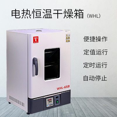 电热恒温干燥箱泰斯特WHLL-30BEWHL-125B/65B实验室专用