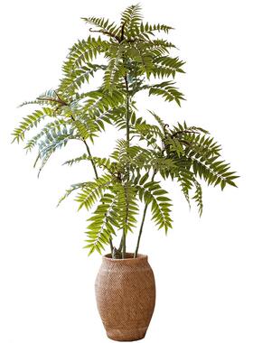 大型仿真植物香椿树假绿植掬熙
