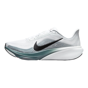 NIKE耐克男鞋Pegasus 42飞马缓震透气运动公路跑步鞋 IB1873-110