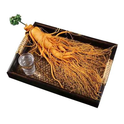 长白山特大人参新鲜人参大个品质野山参人叁保鲜参整枝泡酒专用