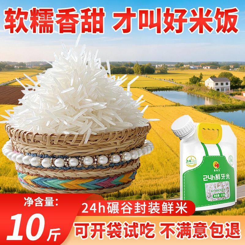 正宗猫牙米5/10斤长粒香米一级当季新米广西长寿之乡大米现磨现发