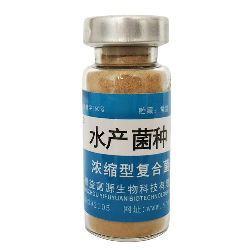 益富源水产菌种降氨氮复合菌鱼虾