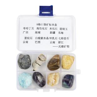 8格天然古生物化石矿物晶体原石奇石地质岩石摆件标本盒套装教学