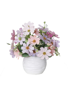 夏梵绢花室内波斯菊花卉盆栽
