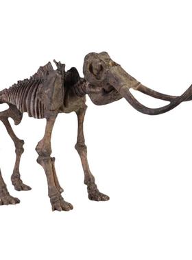 猛犸象翼龙骨架科普教学动物化石