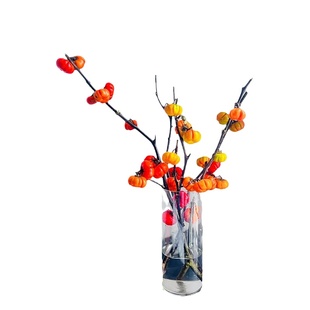 小南瓜尤加利果海棠果长寿果云南斗南直发干花插花秋果实年宵花