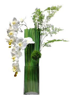 现代轻奢绿色花瓶蝴蝶兰仿真花艺摆件样板间玄关绿植花卉软装饰品