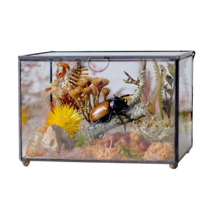 玻璃罩装饰摆件田园复古