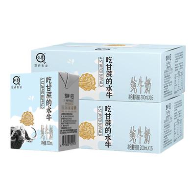 认养水牛奶正宗广西吃甘蔗水牛