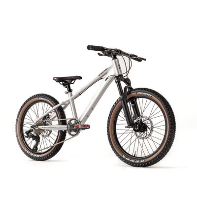 【秒杀】清仓限量自行车