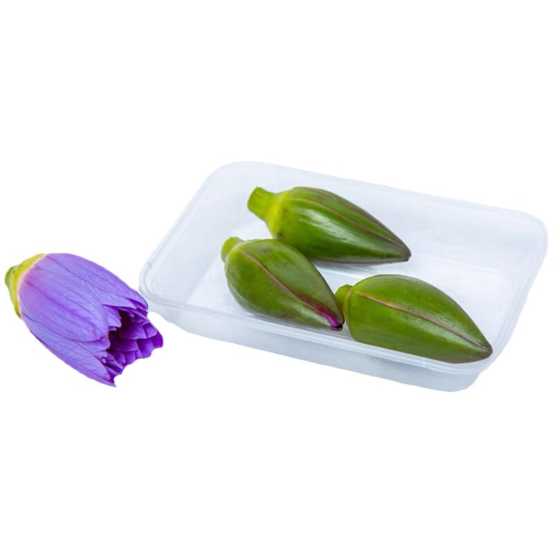 睡莲花瓣紫色莲花可食用花荷花