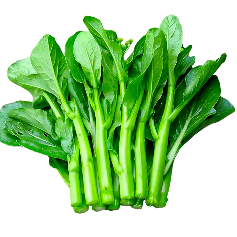 四季甜菜心种子抗热耐湿青菜阳台