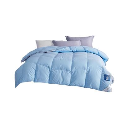 儿童冬季95%鹅绒被水星儿童
